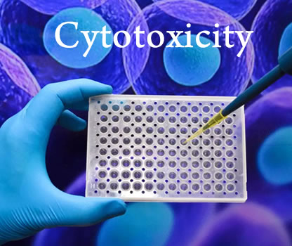 Cytotoxicity