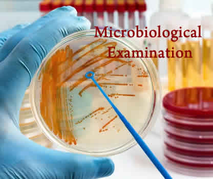 Microbiological-Examination